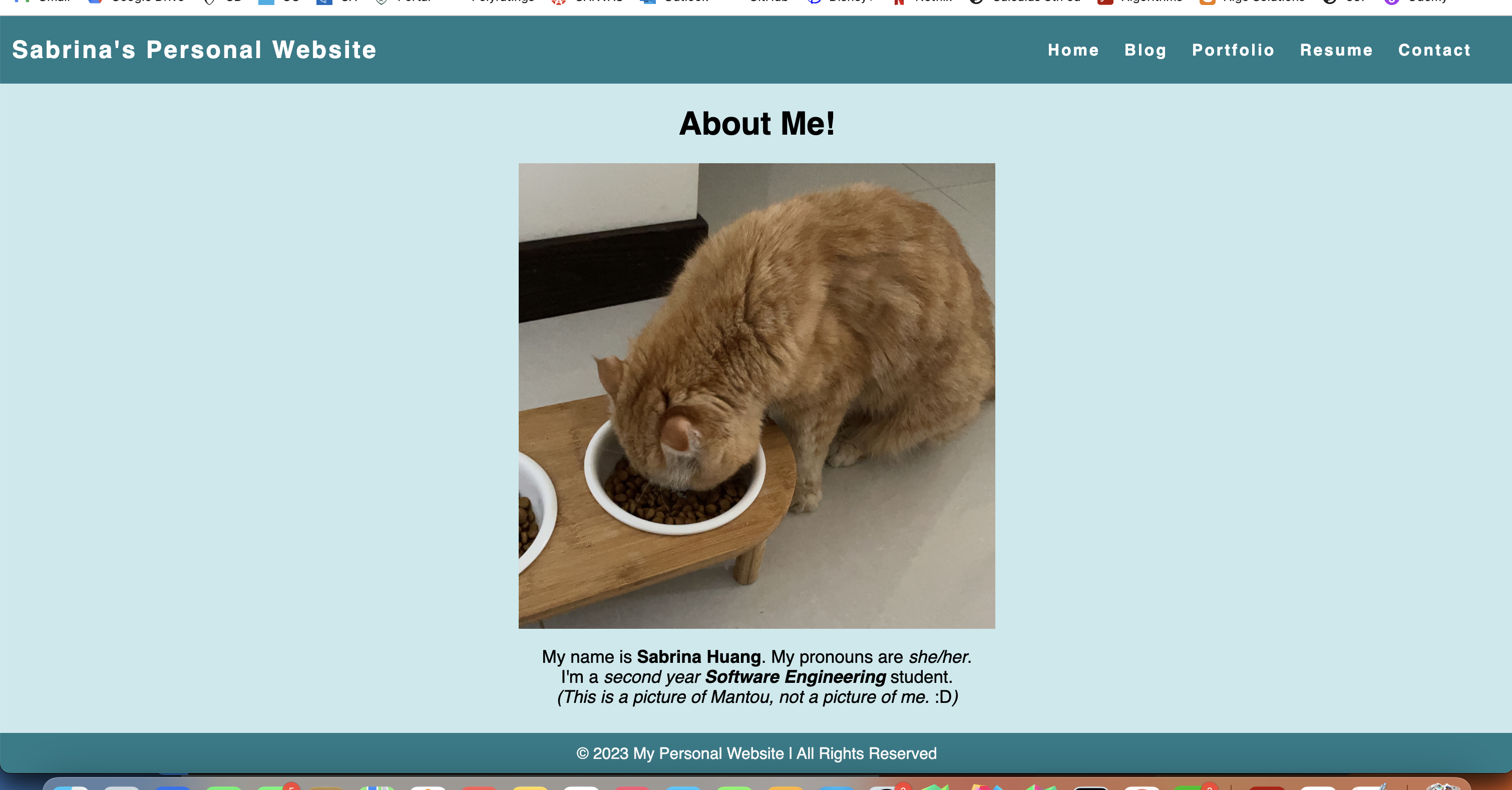 an image of my project